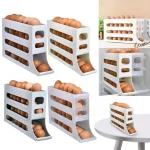 Egg Holder Organizer